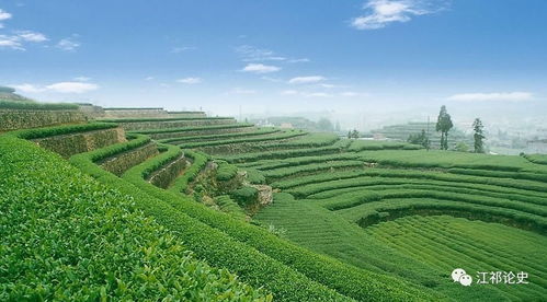 蔡鍔主政云南時期的實業(yè)興辦與發(fā)展